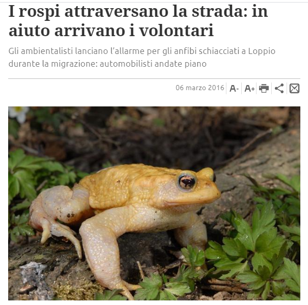 Trentino 6 Marzo 2016