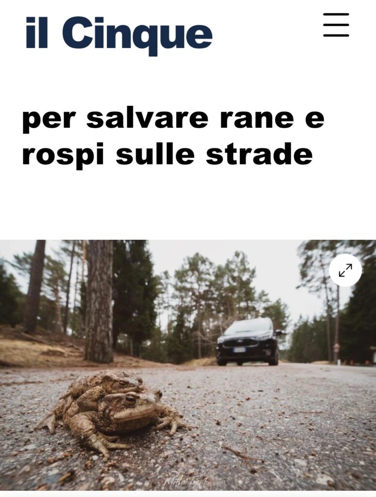 Il Cinque 6 Aprile 2022