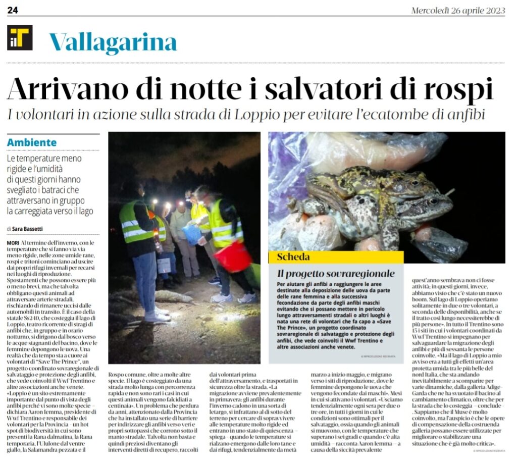 IlT 26 Aprile 2023