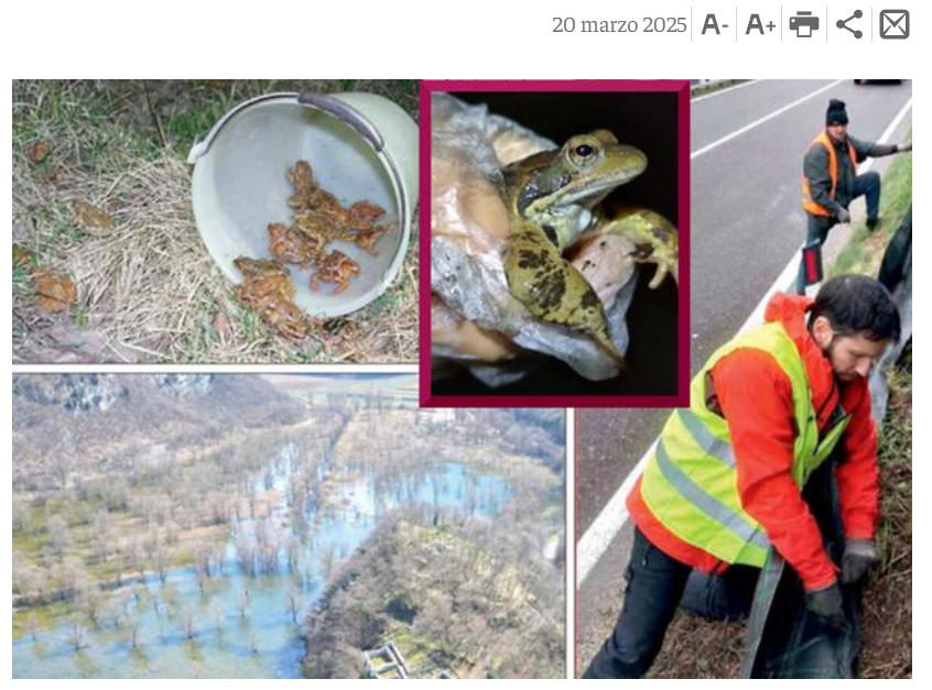 L'Adige 20 Marzo 2025