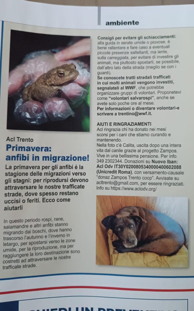 Cooperazione tra consumatori 6 Febbraio 2025