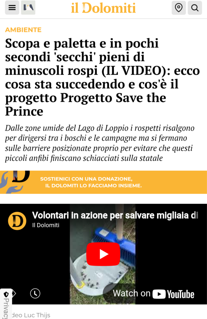 Il Dolomiti 8 Giugno 2025