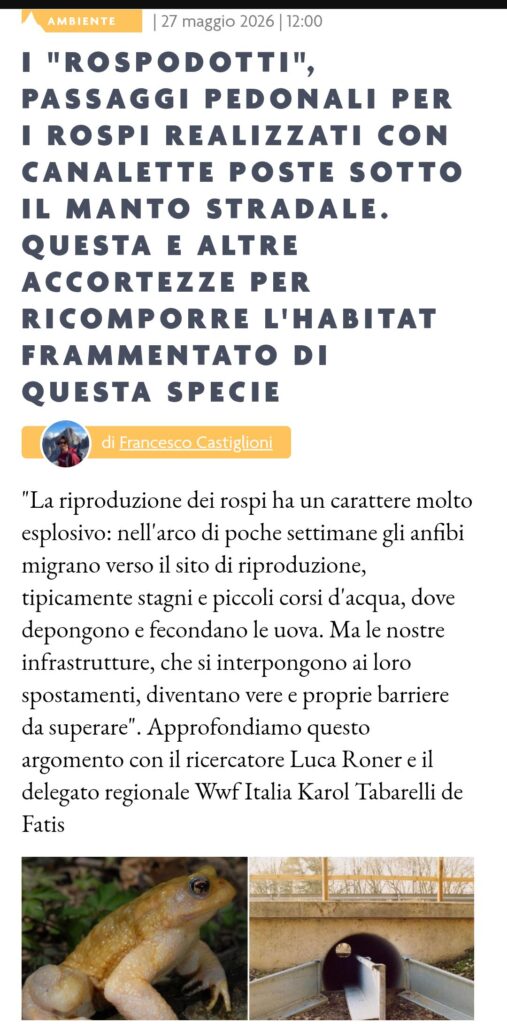 Il Dolomiti 30 Luglio 2026