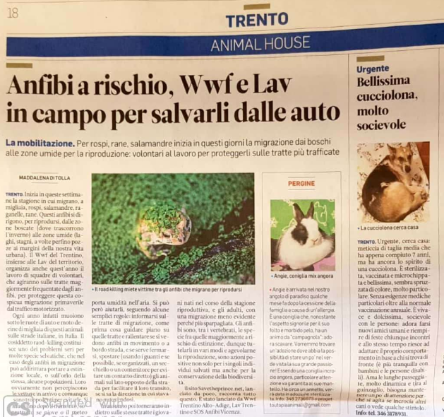 Trentino 9 Marzo 2020