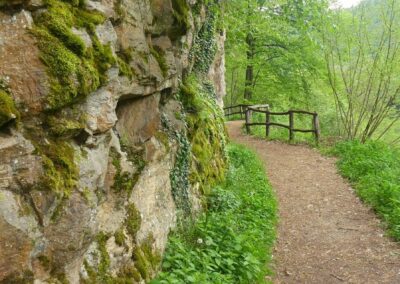 Strada di accesso all'Oasi Bosco Barucchelli