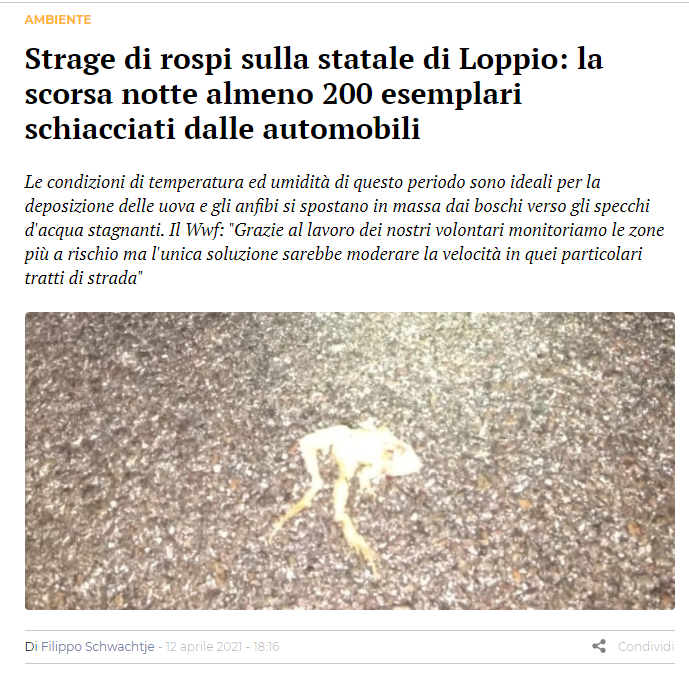 Dolomiti.it 12 Aprile 2021