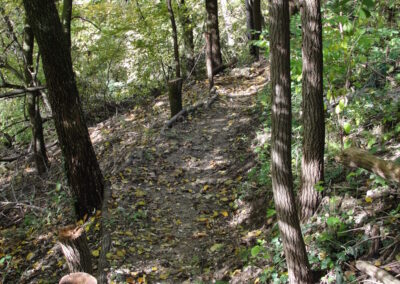 Sentiero nel bosco della Vallaia, Oasi Valle dello Sporeggio