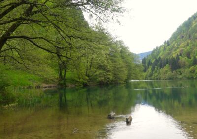 Il Lago di Levico con gli alberi del bosco ripariale riflessi