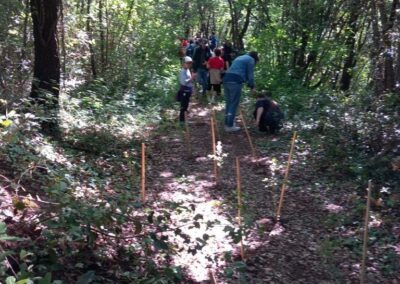 Piantumazione di giovani lecci nella lecceta del Monte Brione, maggio 2026