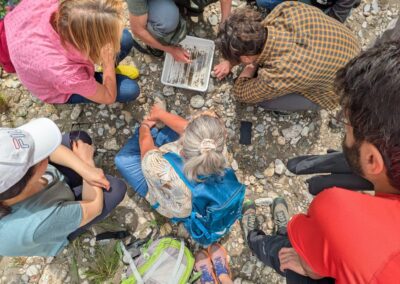 Partecipanti chini sulla vaschetta dei macroinvertebrati durante un'uscita sul Brenta