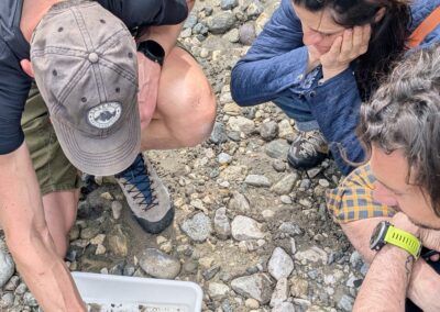 Partecipanti chini sulla vaschetta dei campioni raccolti nel Brenta