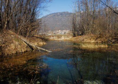 Una risorgiva alle Inghiaie. Foto Stefano Mayr