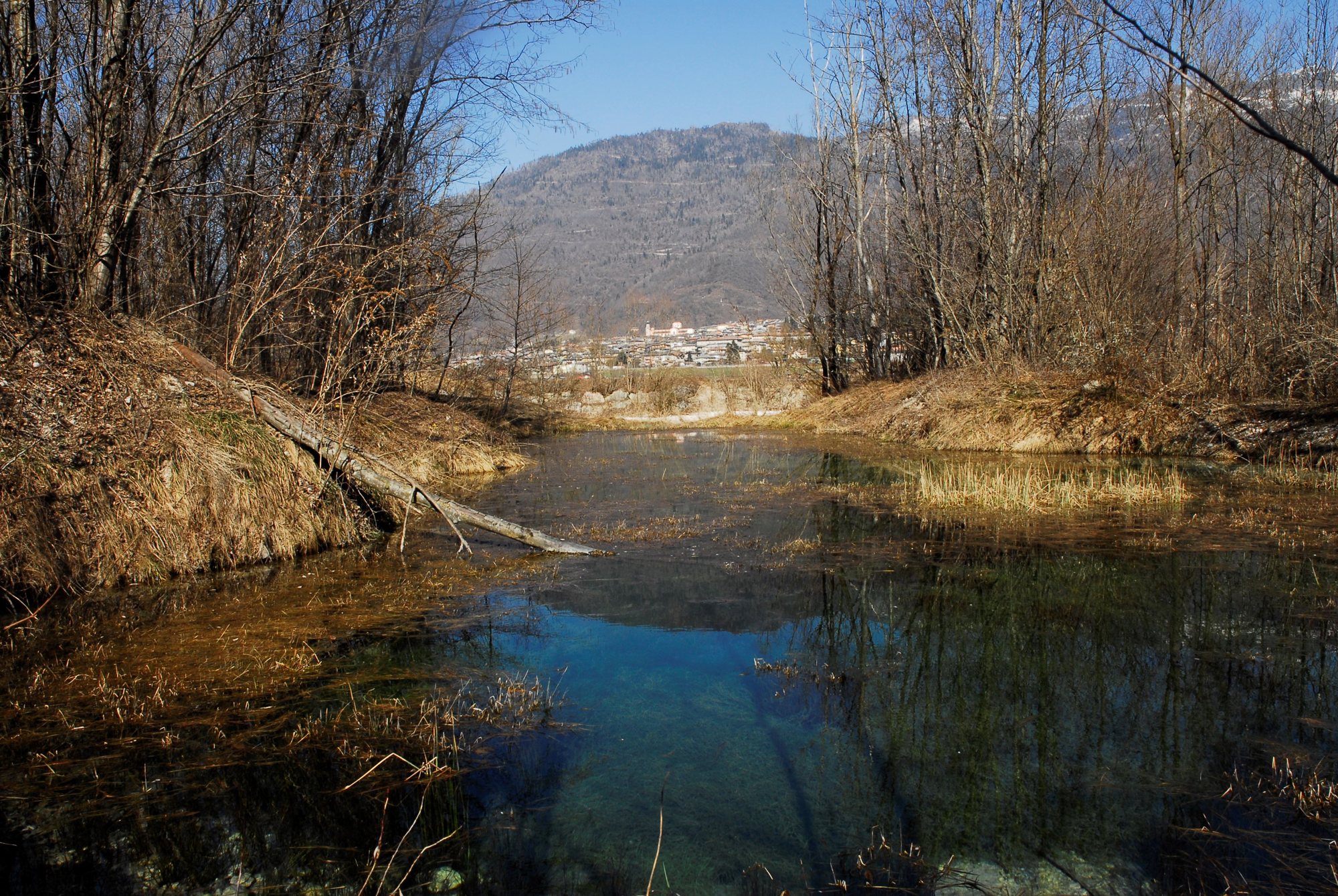 Una risorgiva alle Inghiaie. Foto Stefano Mayr