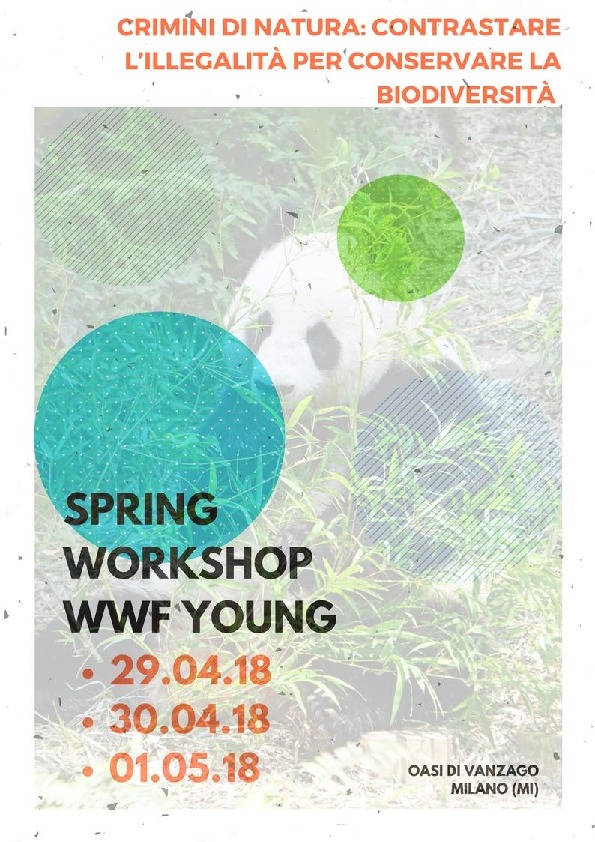 Locandina: Spring workshop WWF YOUng sui crimini di natura