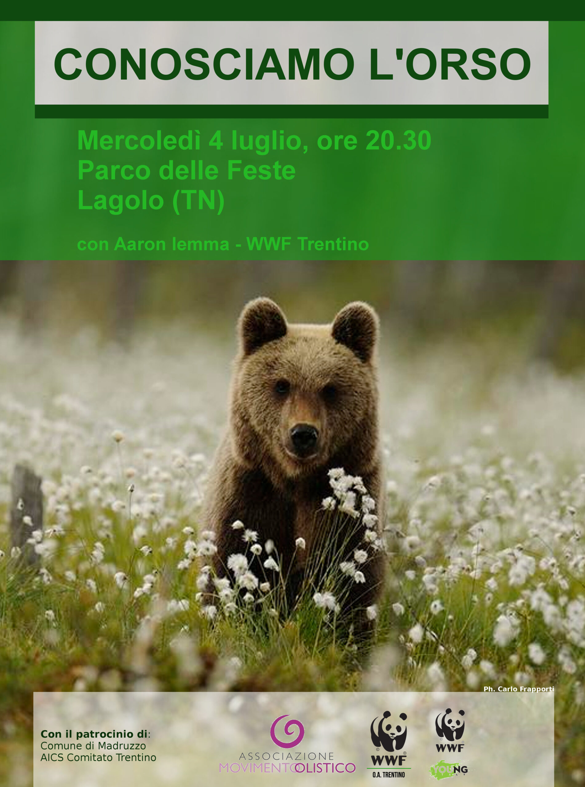 Locandina: ConosciAMO l'orso bruno