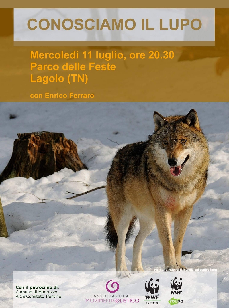 Locandina: ConosciAMO il lupo