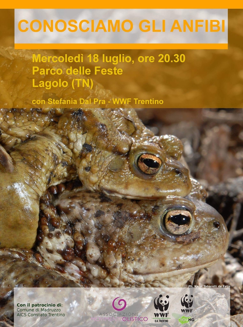 Locandina: ConosciAMO gli anfibi