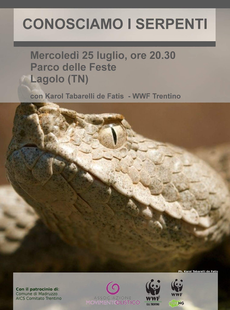 Locandina: ConosciAMO i serpenti