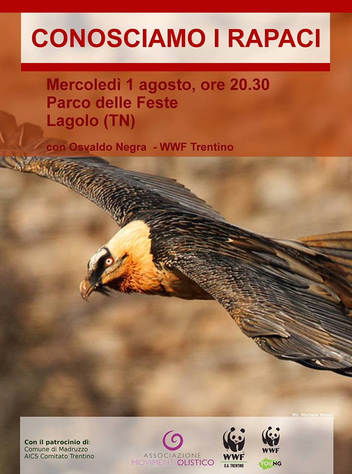 Locandina: ConosciAMO i rapaci