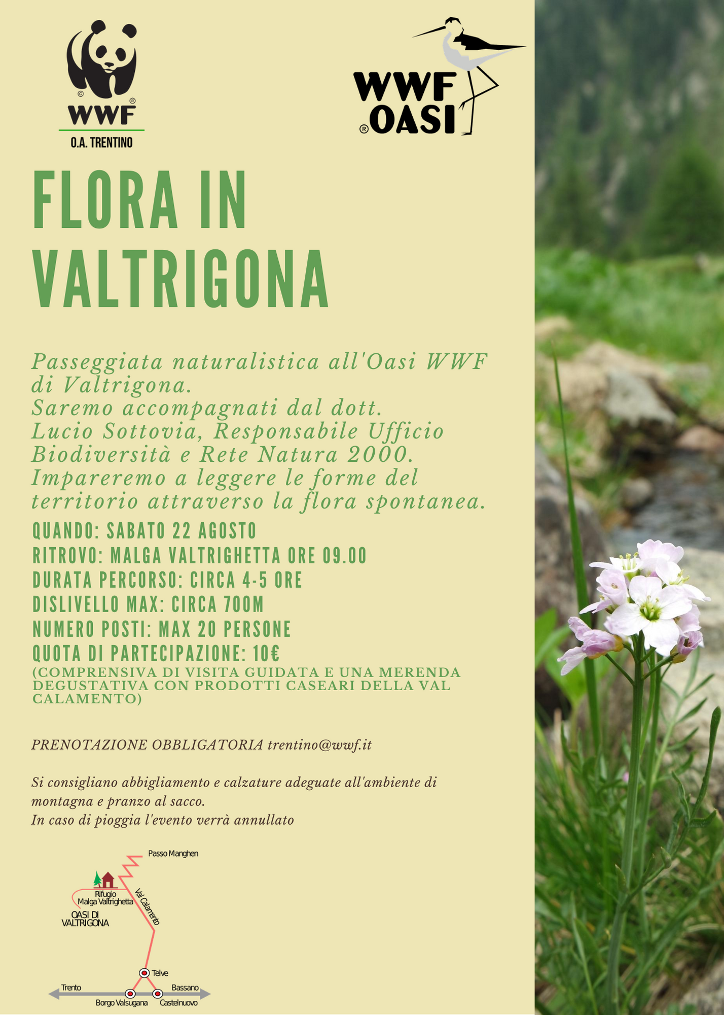 Locandina: Flora in Valtrigona: passeggiata botanica con Lucio Sottovia