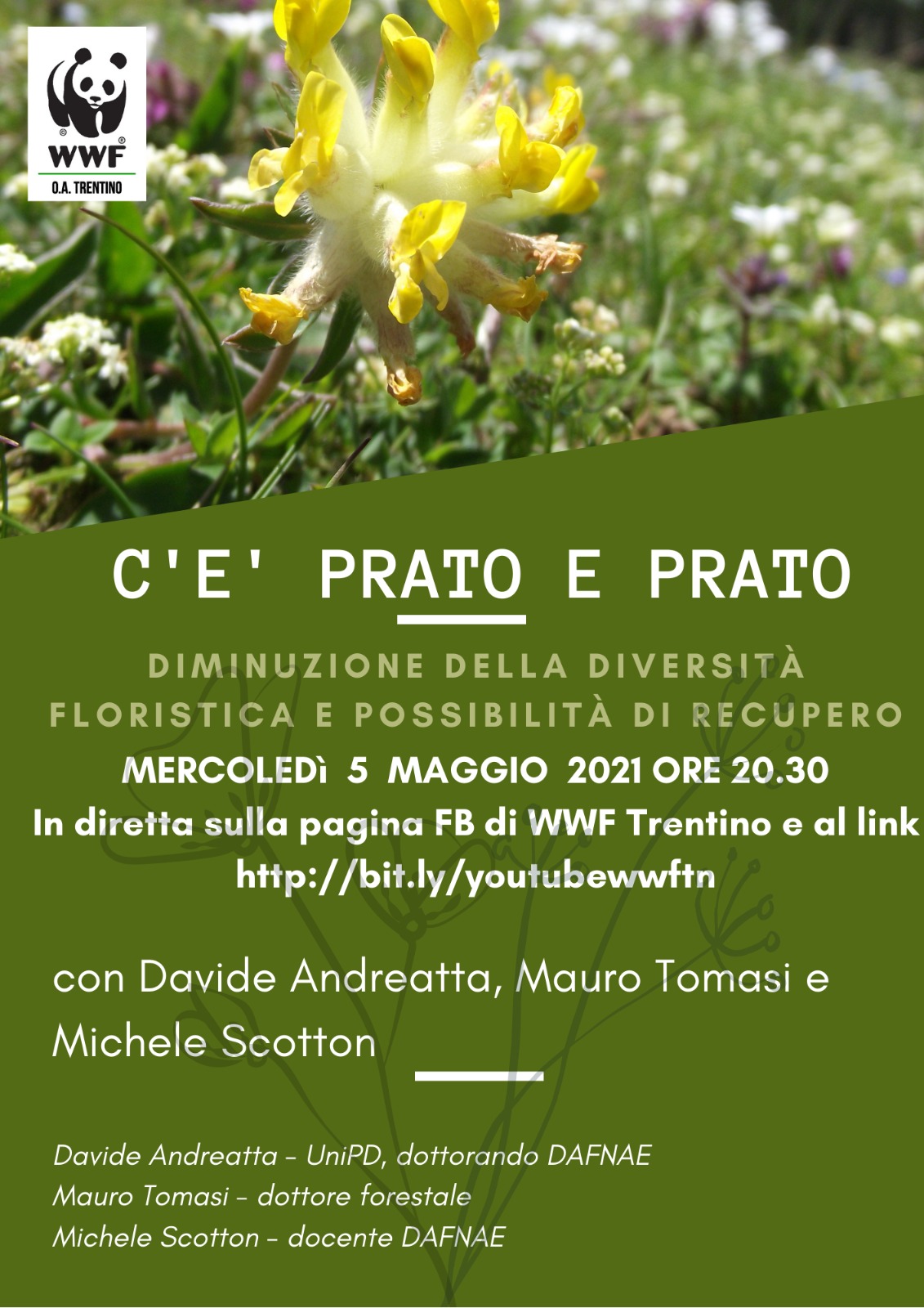 Locandina: C'è prato e prato: diminuzione della diversità floristica e possibile recupero