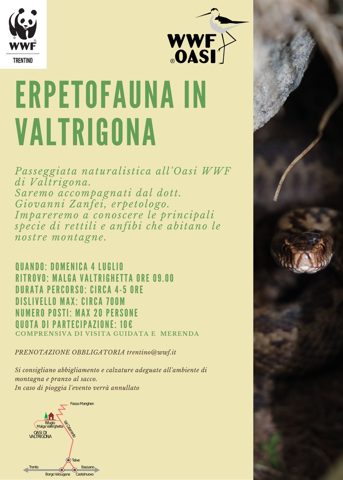 Locandina: Erpetofauna in Valtrigona: escursione con l'erpetologo Giovanni Zanfei