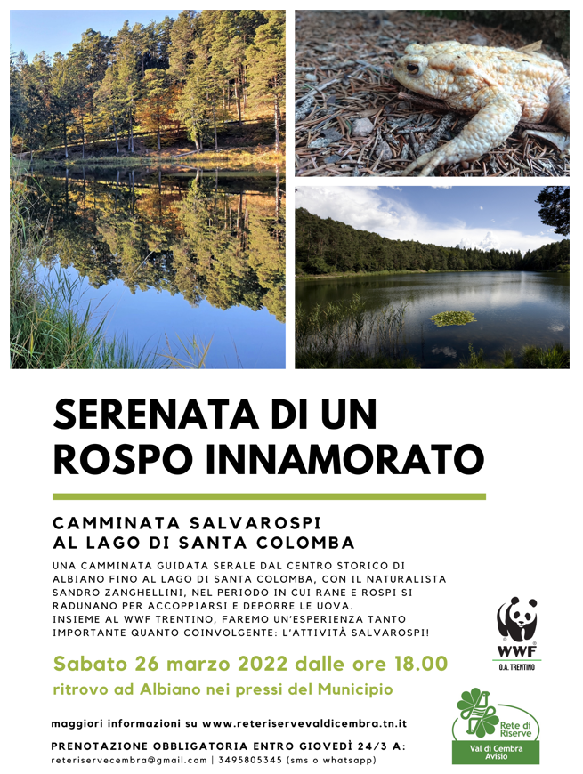 Locandina: Serenata di un rospo innamorato: camminata salvarospi al lago di Santa Colomba