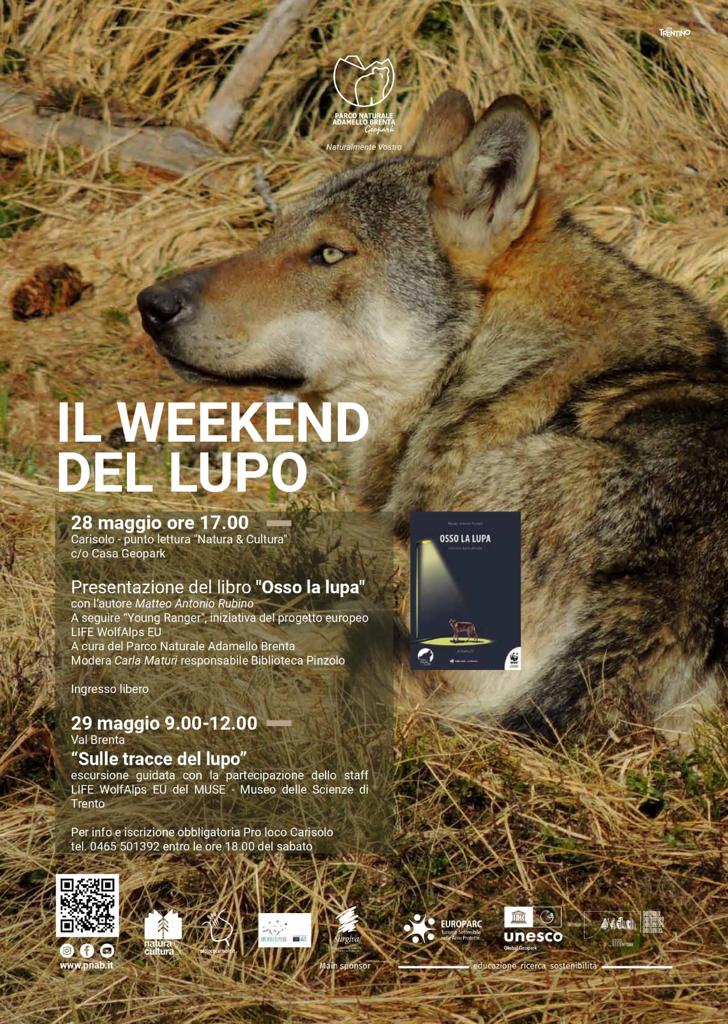Locandina: Il weekend del lupo: presentazione del libro "Osso la lupa"