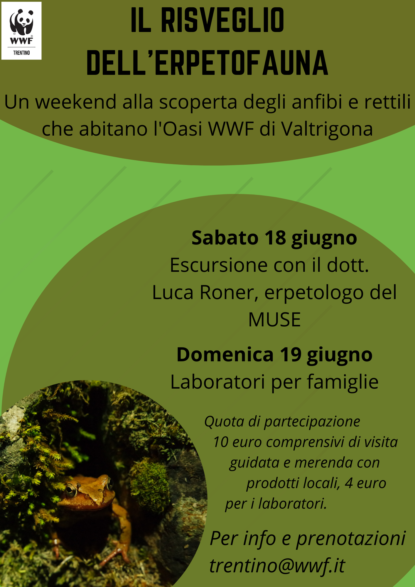 Locandina: Laboratori per famiglie su ambiente acquatico e anfibi a Valtrigona