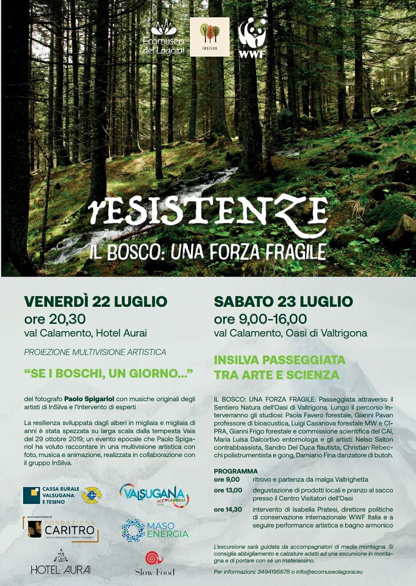 Locandina: InSilva: passeggiata tra arte e scienza nell'Oasi di Valtrigona