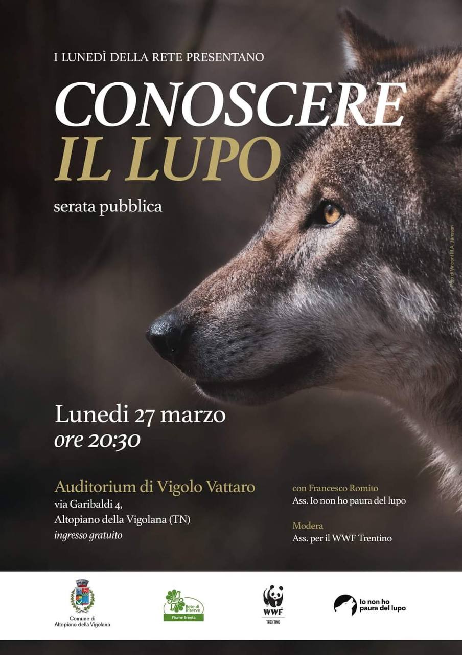 Locandina: Conoscere il lupo: serata a Vigolo Vattaro