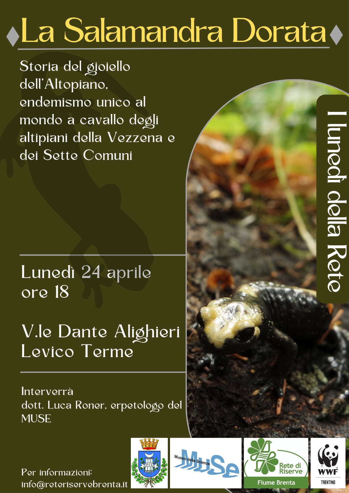 Locandina: I lunedì della Rete: la salamandra dorata