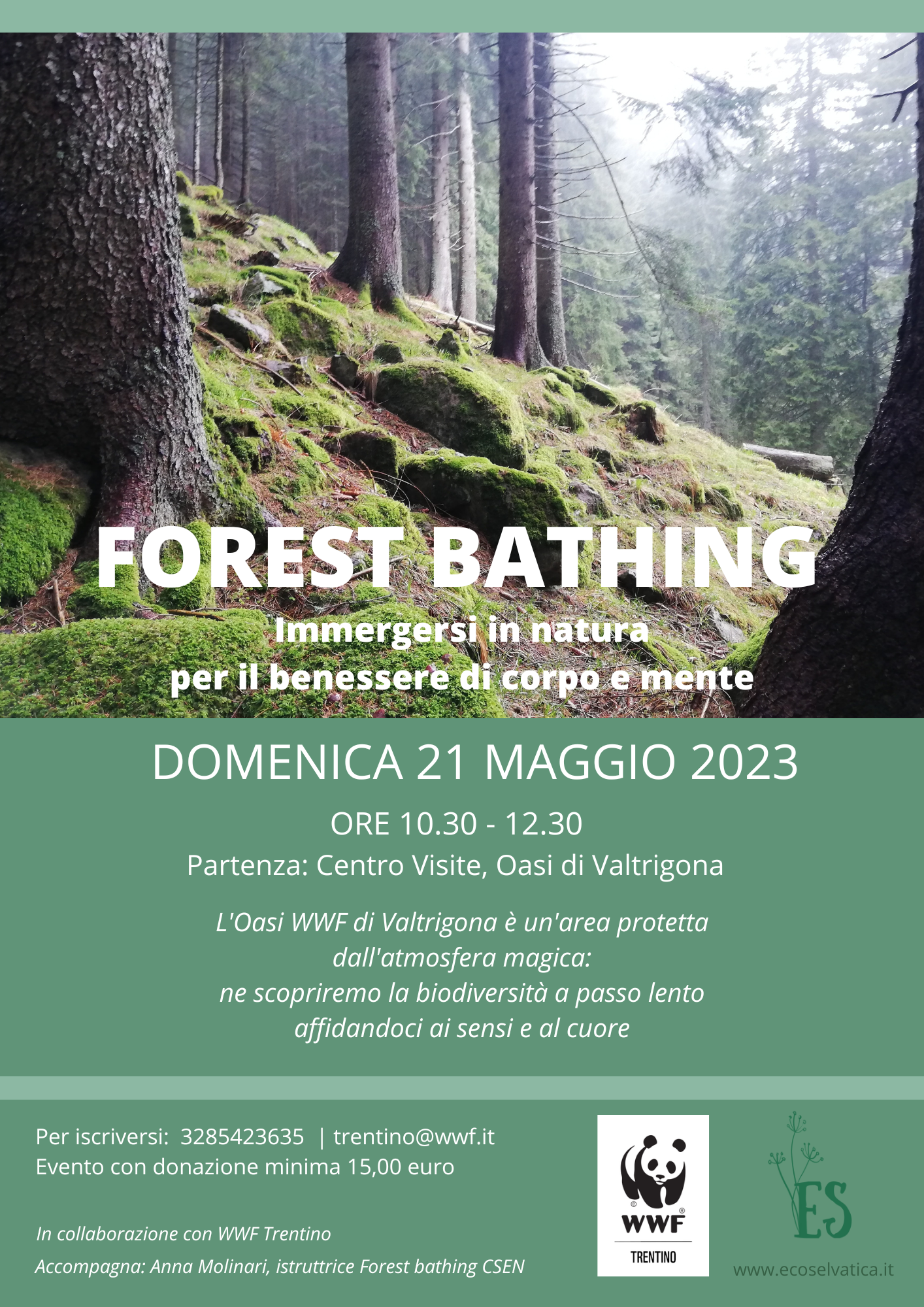 Locandina: Forest bathing nell'Oasi WWF di Valtrigona