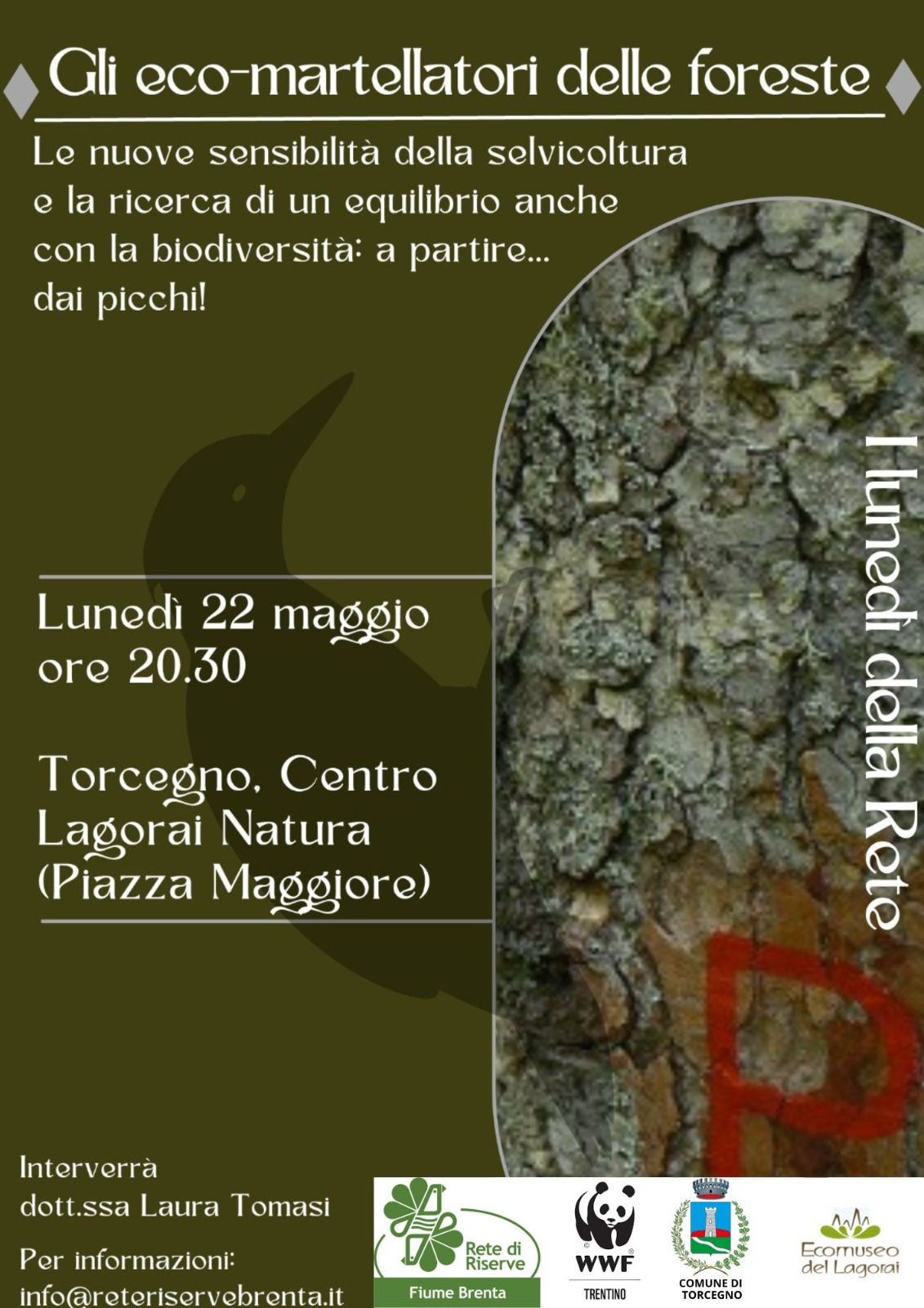 Locandina: I lunedì della Rete: gli eco-martellatori della foresta