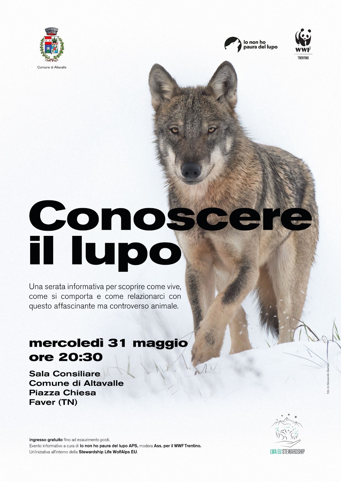 Locandina: Conoscere il lupo: serata informativa ad Altavalle