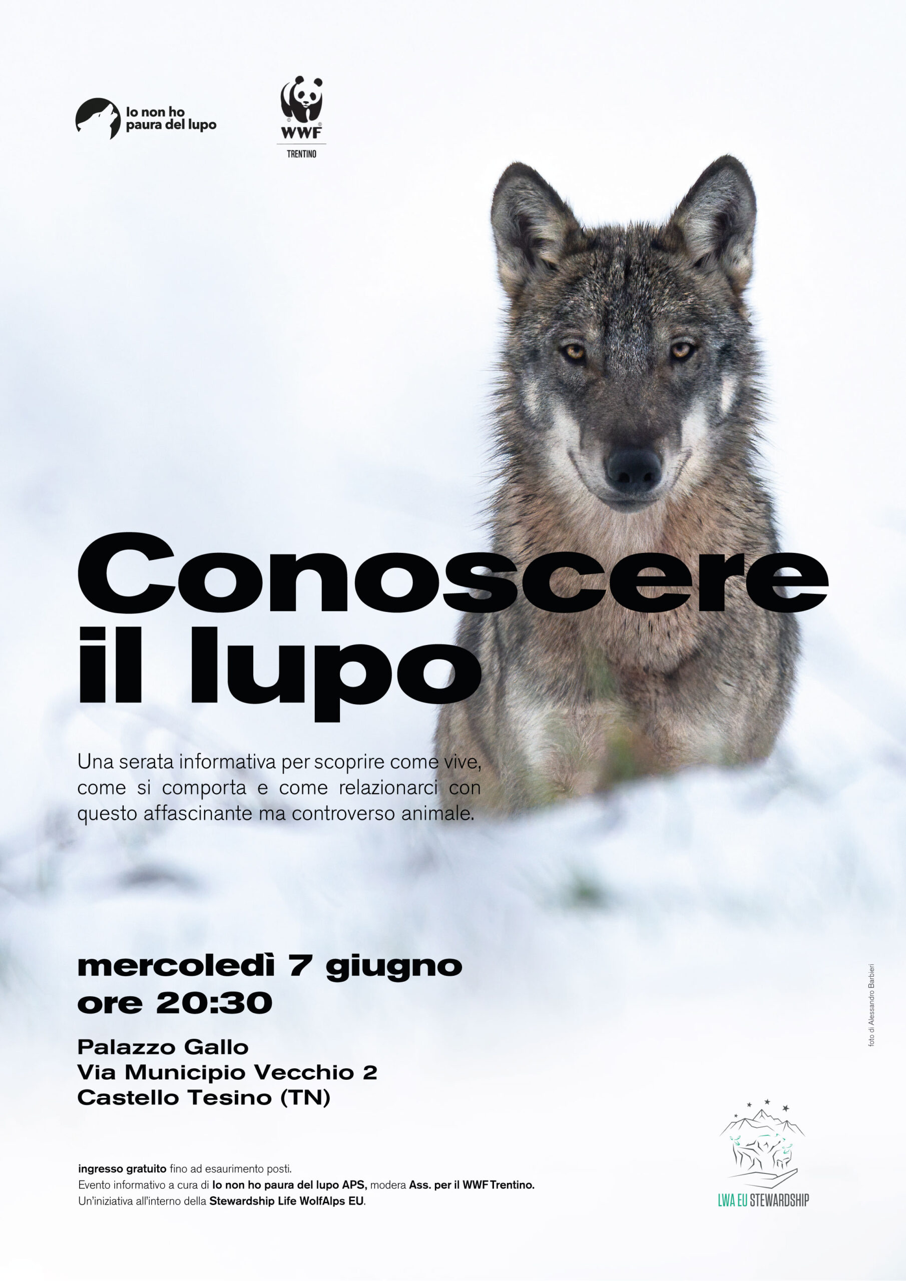 Locandina: Conoscere il lupo: serata informativa a Castello Tesino