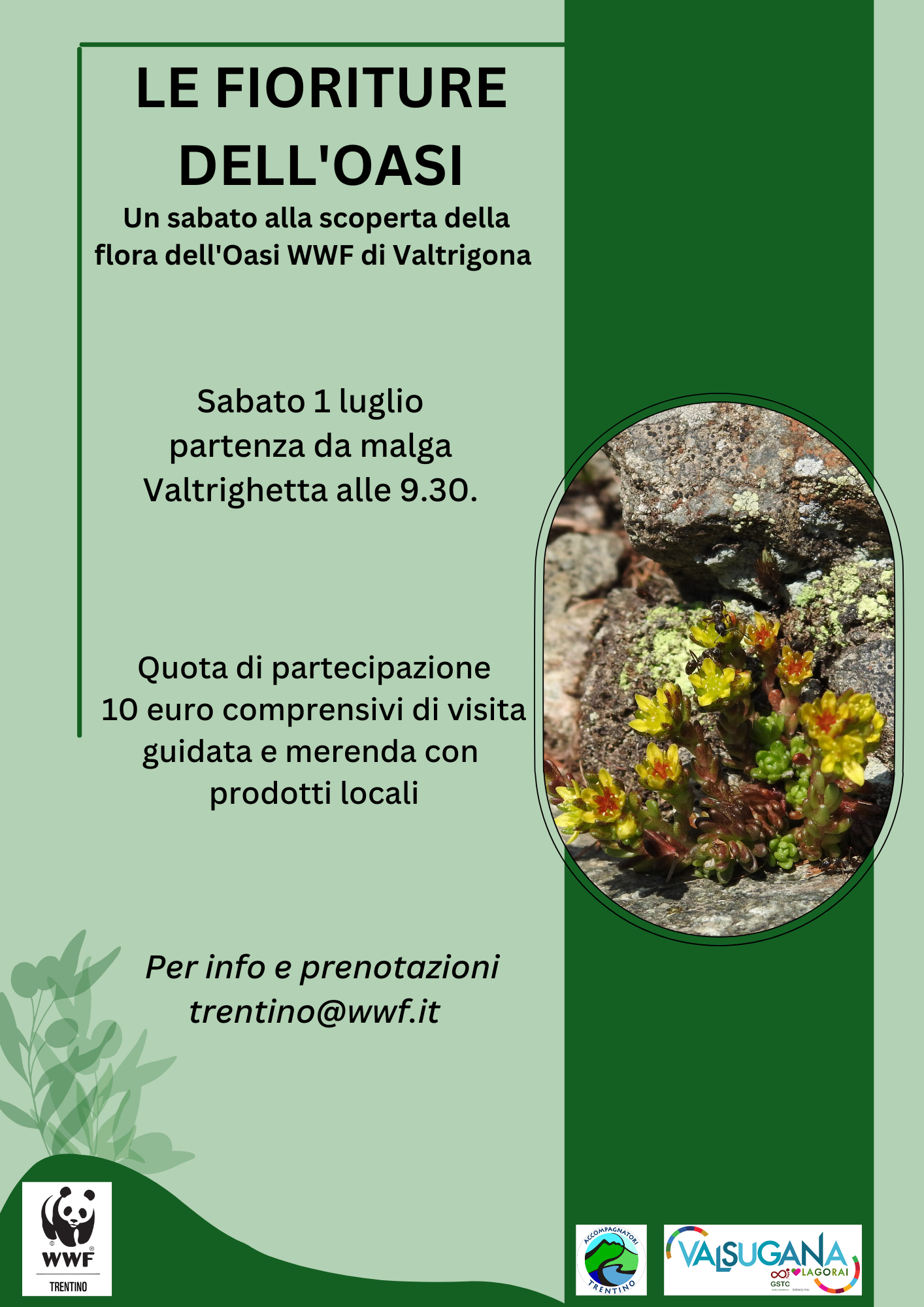 Locandina: Le fioriture dell'Oasi: escursione botanica a Valtrigona con Stefano Mayr