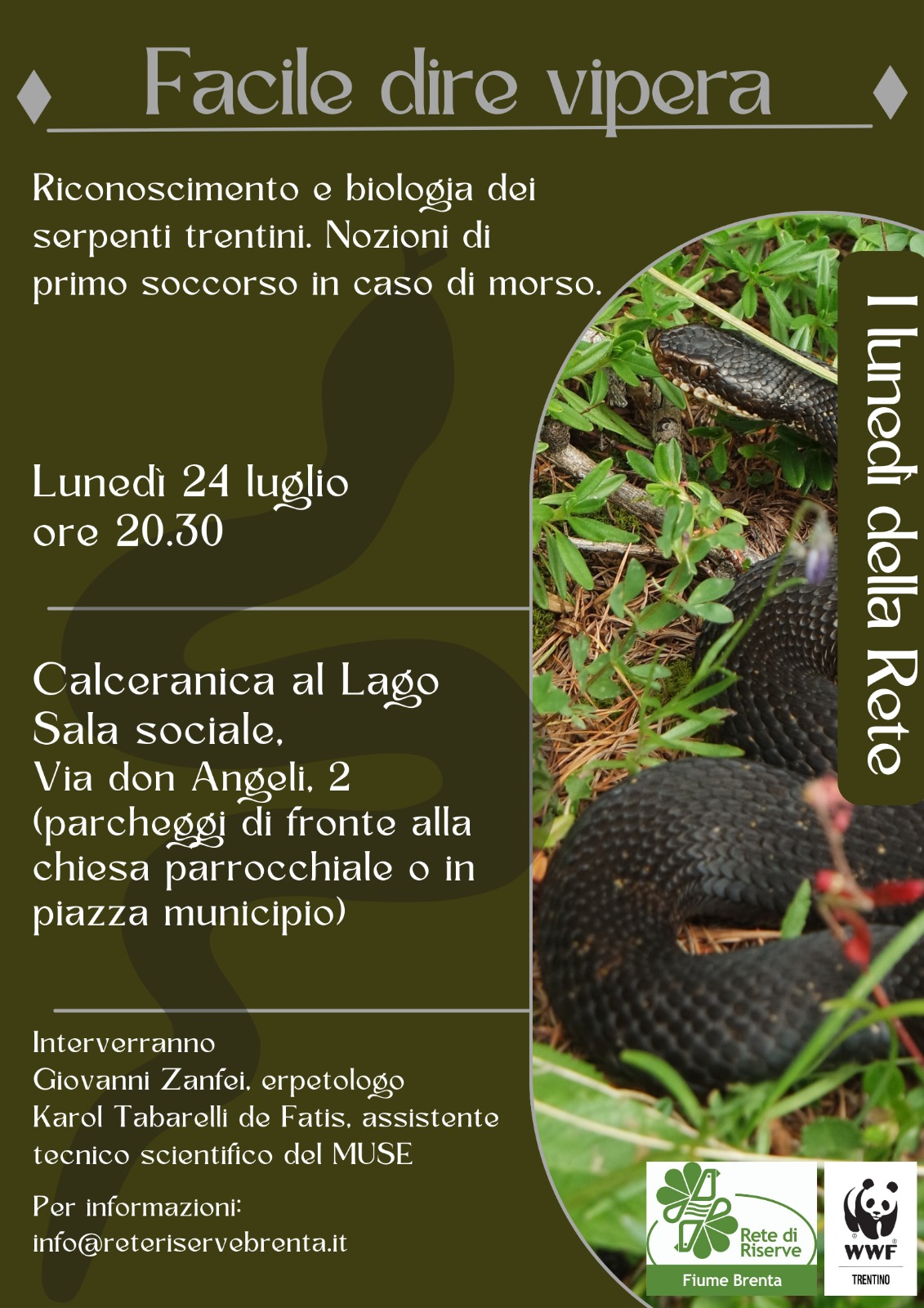 Locandina: I lunedì della Rete: facile dire vipera
