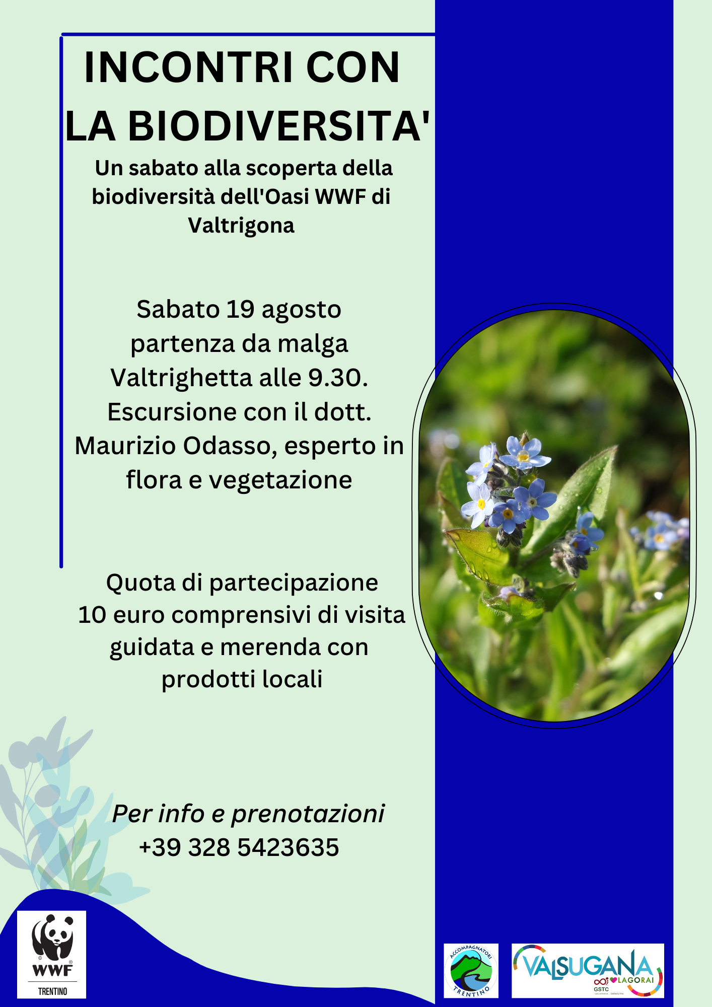 Locandina: Incontri con la biodiversità: escursione a Valtrigona con Maurizio Odasso