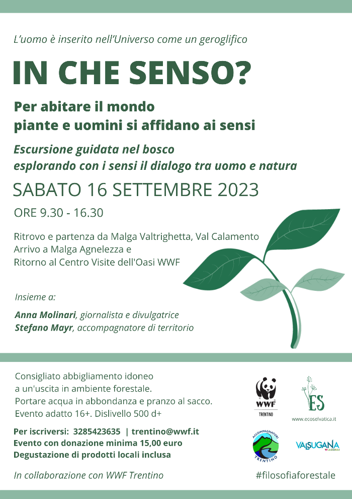 Locandina: Ecofilosofia forestale a Valtrigona: Sensi