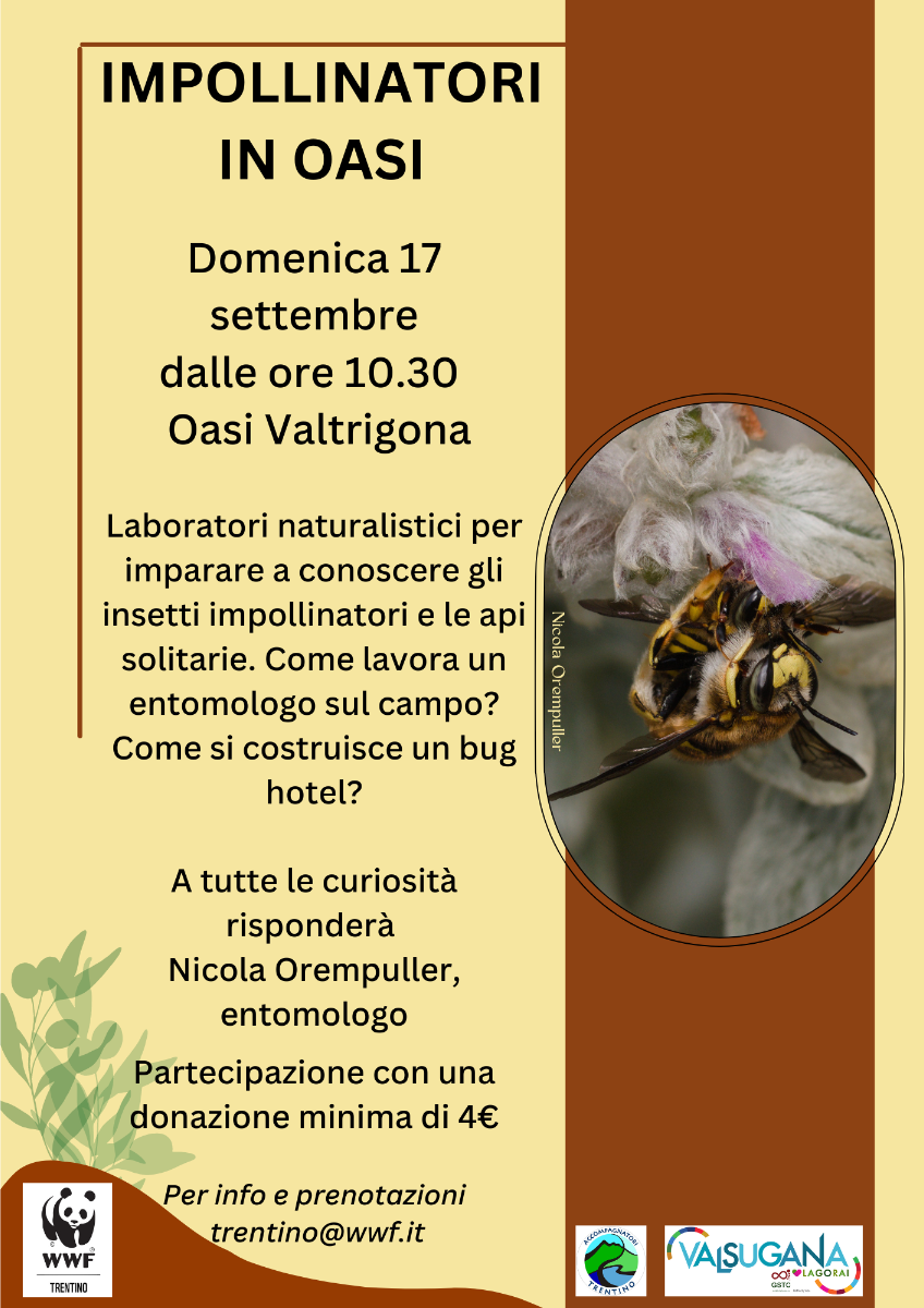Locandina: Impollinatori in Oasi: laboratori a Valtrigona con l'entomologo Nicola Orempuller