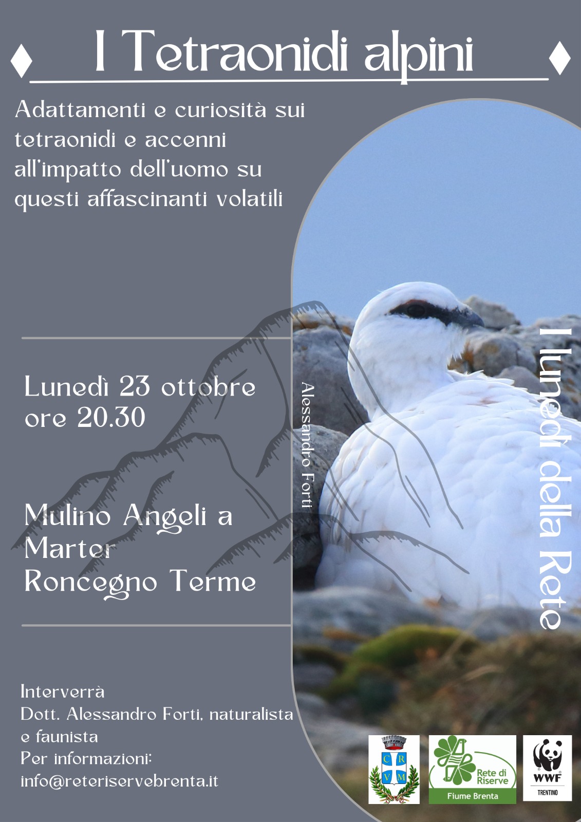 Locandina: I lunedì della Rete: i tetraonidi alpini