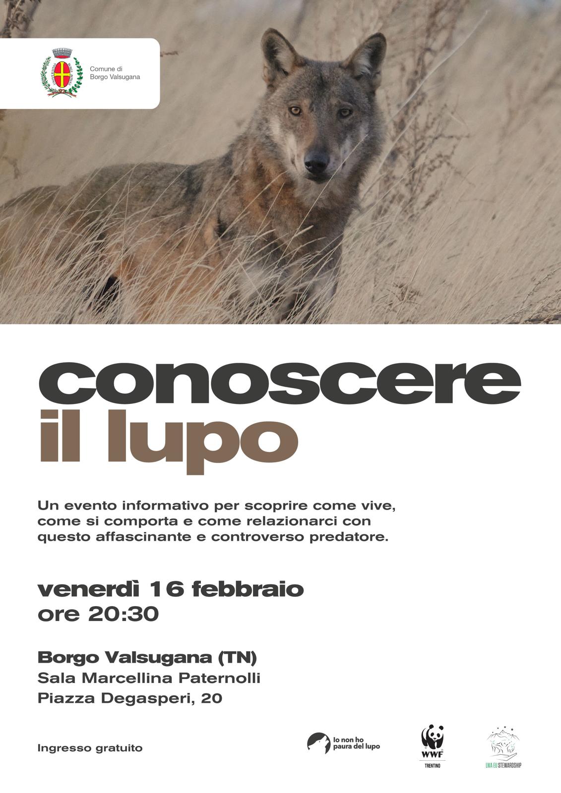 Locandina: Conoscere il lupo: serata informativa a Borgo Valsugana
