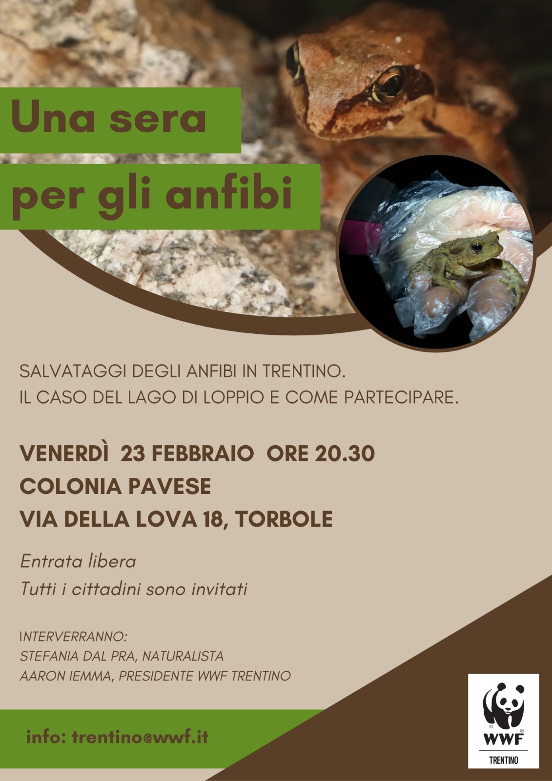 Locandina: Una sera per gli anfibi: serata informativa a Torbole