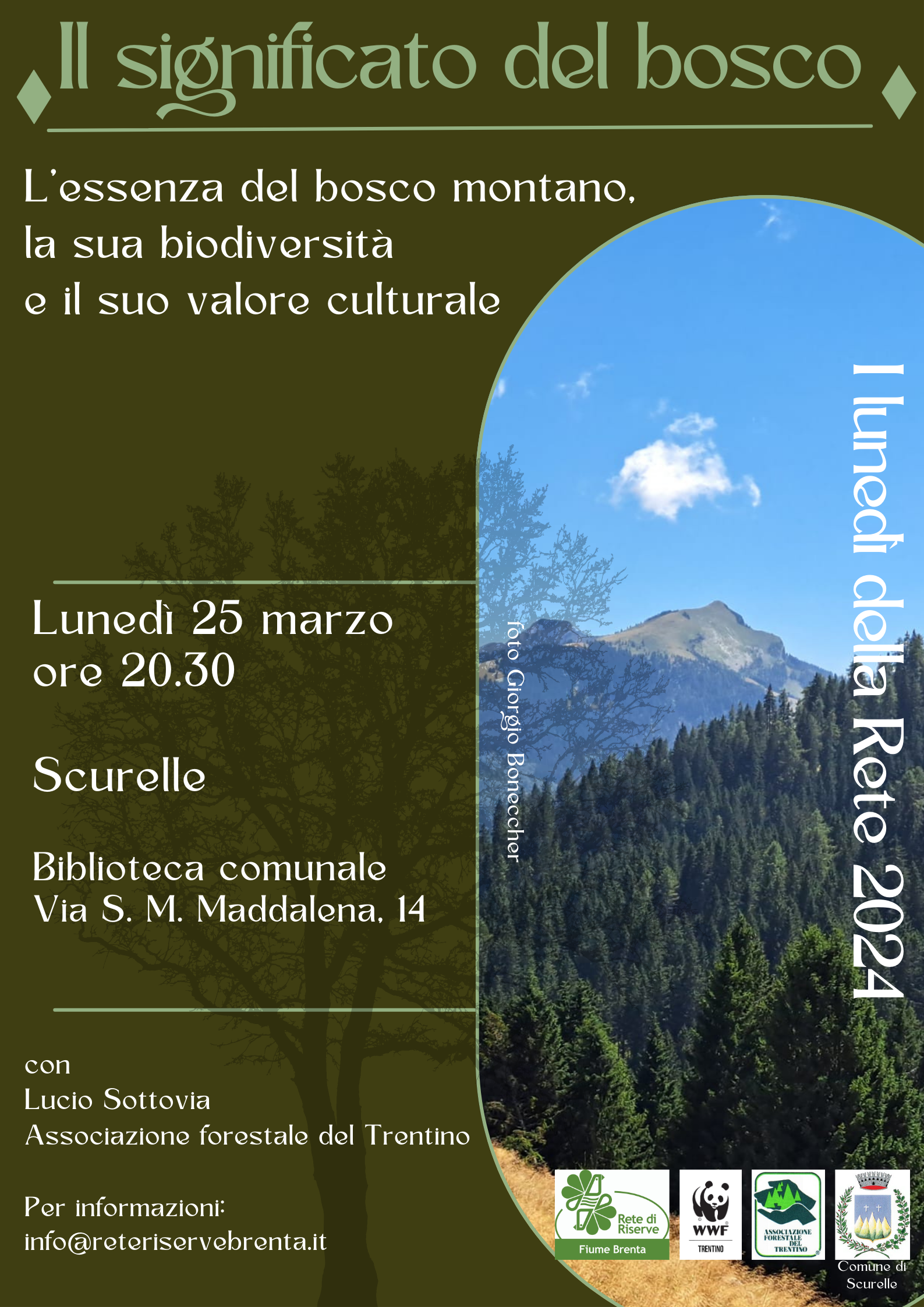 Locandina: I lunedì della Rete: il significato del bosco