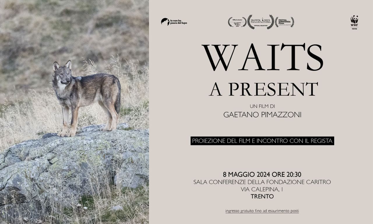 Locandina: Waits, a present: proiezione del film e incontro con il regista