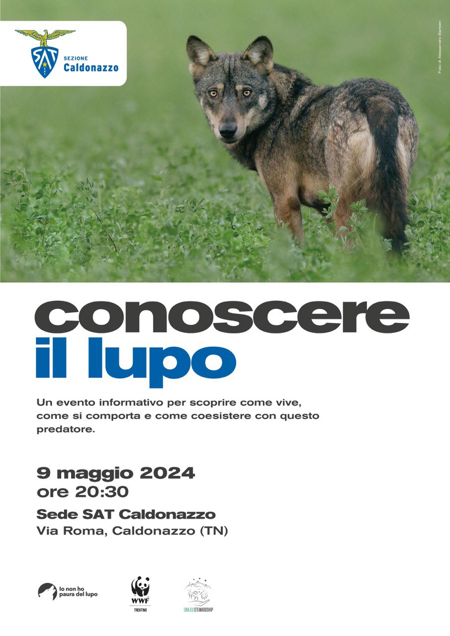 Locandina: Conoscere il lupo: serata informativa a Caldonazzo