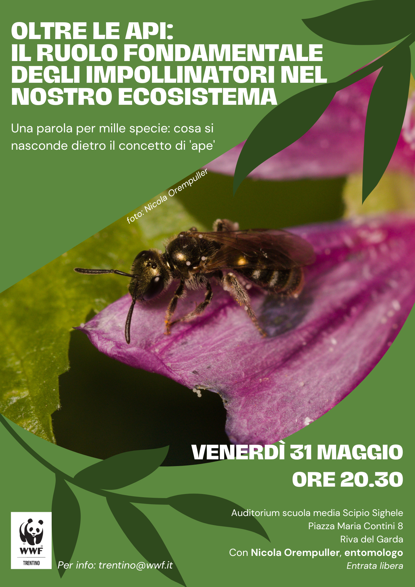 Locandina: Oltre le api: il ruolo fondamentale degli impollinatori nel nostro ecosistema