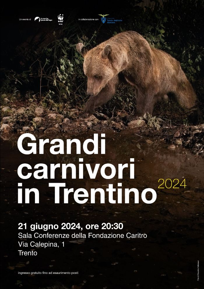 Locandina: Grandi Carnivori in Trentino 2024: serata informativa