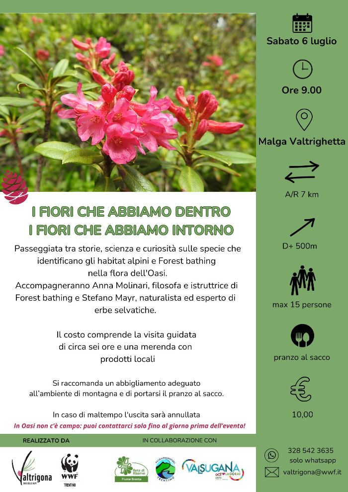 Locandina: I fiori che abbiamo dentro, i fiori che abbiamo intorno: flora e forest bathing a Valtrigona